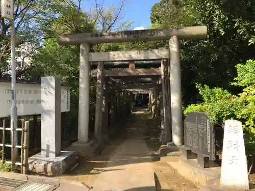 厳嶋神社の鳥居