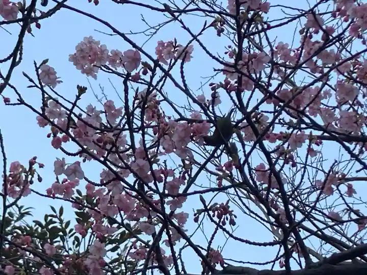 江島神社の{uncategorized: "未分類", other: "その他", undefined: "問題あり", building: "その他建物", grave: "お墓", sacred_gate: "鳥居", guardian: "狛犬", statue: "像", buddha: "仏像", history: "歴史", nature: "自然", garden: "庭園", animal: "動物", pagoda: "塔", temizu: "手水舎", mountain_gate: "山門・神門", sanctuary: "本殿・本堂", subordinate: "末社・摂社", art: "芸術", scenery: "景色", jizo: "地蔵", ema: "絵馬", goshuin: "御朱印", omikuji: "おみくじ", items: "授与品その他", amulet: "お守り", goshuincho: "御朱印帳", eats: "食事", festival: "お祭り", votive_dance: "神楽", shichigosan: "七五三参", wedding: "結婚式", experience: "体験その他", initially: "初詣", around: "周辺", anti_infection: "感染症対策"}