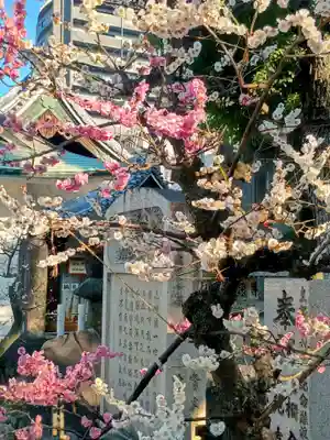 大阪天満宮(大阪府)