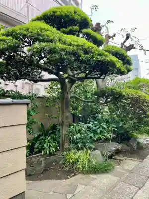 清徳寺(東京都)