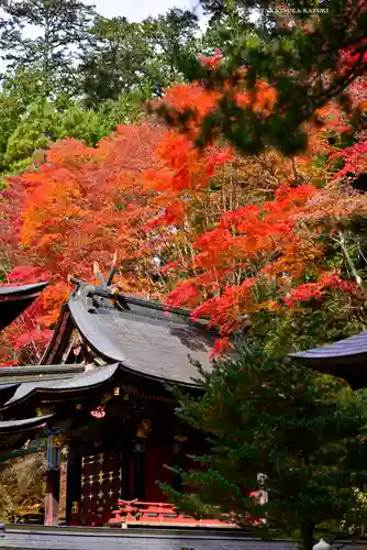 三峯神社(埼玉県)