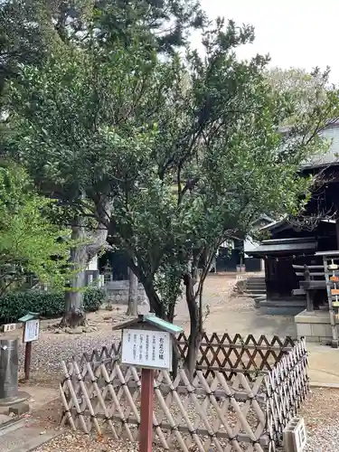 上地八幡宮(愛知県)