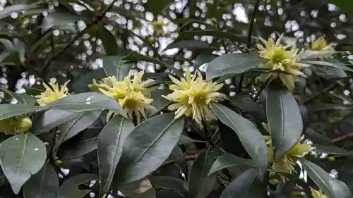大報恩寺（千本釈迦堂）(京都府)