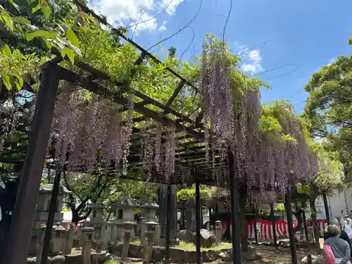 葛井寺(大阪府)