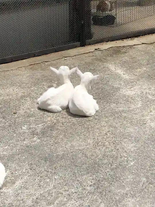 東本願寺本廟 牛久浄苑(牛久大仏)の動物