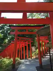 住吉神社の鳥居