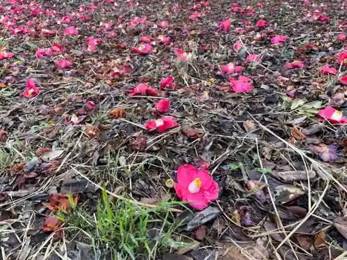 山の神神社の自然