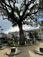 霰松原神社(大阪府)
