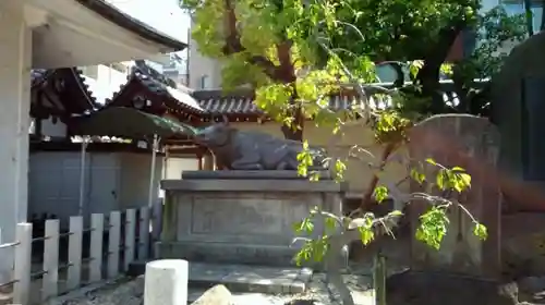 大阪天満宮の狛犬