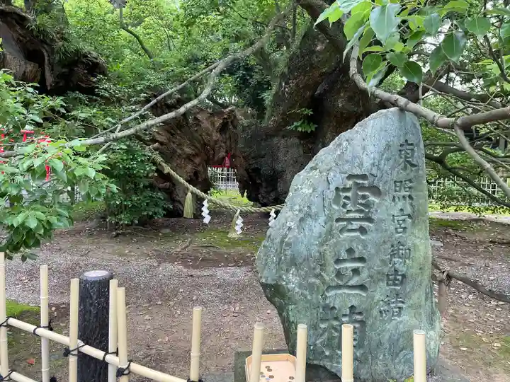 浜松八幡宮の自然
