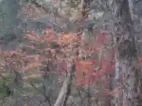 大矢田神社(岐阜県)