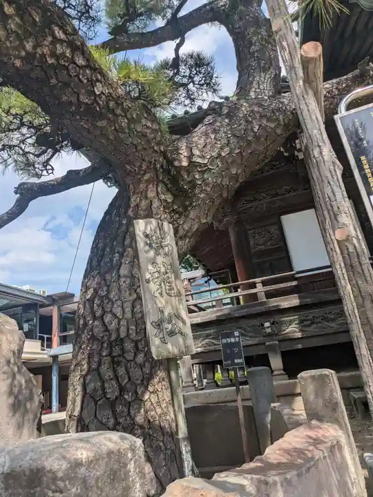題経寺(柴又帝釈天)(東京都)
