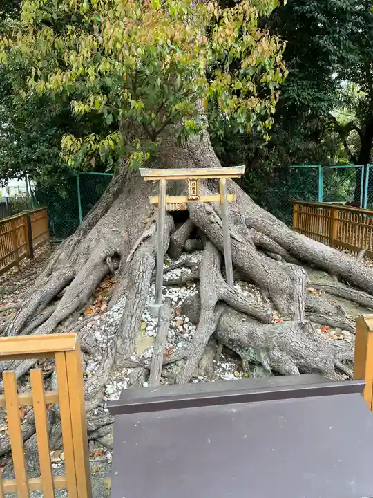 和泉國一之宮 大鳥大社(大阪府)