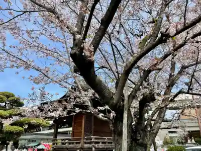 深川開運出世稲荷(東京都)