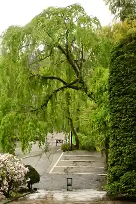 玉泉寺(埼玉県)