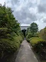 蓮光院(東京都)