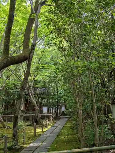 蓮華寺（洛北蓮華寺）(京都府)