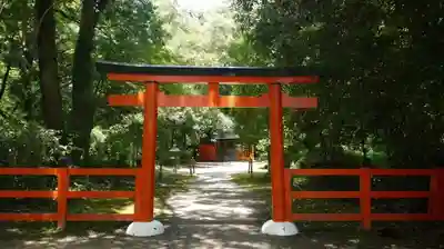 半木神社（賀茂別雷神社境外末社）の鳥居