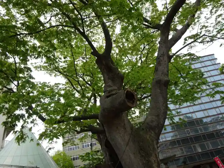 阿邪訶根神社の自然