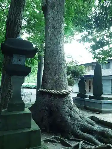 久地神社の自然
