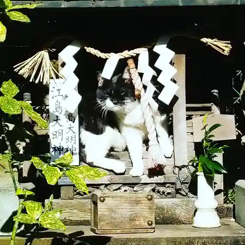 柳森神社の動物
