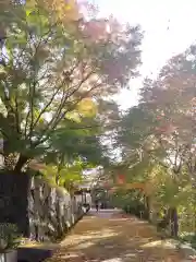 勝尾寺の景色