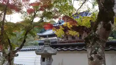 佛通寺(広島県)