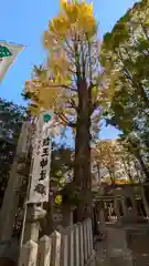 護王神社(京都府)