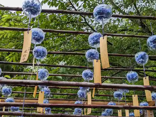 正寿院(京都府)