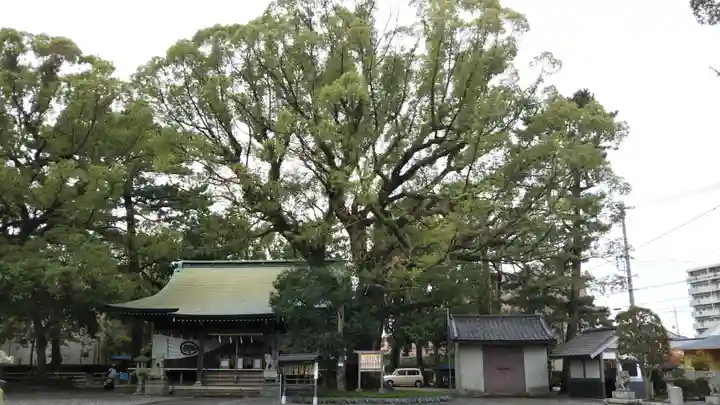 前島神社の自然