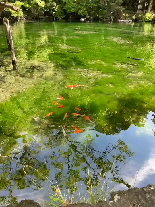 涌釜神社(栃木県)
