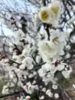 菅原神社の{uncategorized: "未分類", other: "その他", undefined: "問題あり", building: "その他建物", grave: "お墓", sacred_gate: "鳥居", guardian: "狛犬", statue: "像", buddha: "仏像", history: "歴史", nature: "自然", garden: "庭園", animal: "動物", pagoda: "塔", temizu: "手水舎", mountain_gate: "山門・神門", sanctuary: "本殿・本堂", subordinate: "末社・摂社", art: "芸術", scenery: "景色", jizo: "地蔵", ema: "絵馬", goshuin: "御朱印", omikuji: "おみくじ", items: "授与品その他", amulet: "お守り", goshuincho: "御朱印帳", eats: "食事", festival: "お祭り", votive_dance: "神楽", shichigosan: "七五三参", wedding: "結婚式", experience: "体験その他", initially: "初詣", around: "周辺", anti_infection: "感染症対策"}