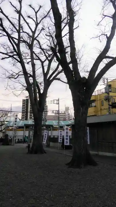 浅間神社の自然