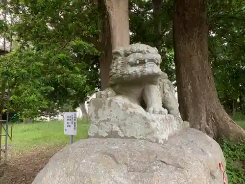 神明神社の狛犬