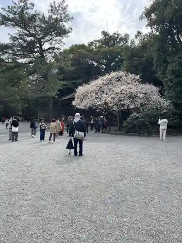 熱田神宮(愛知県)
