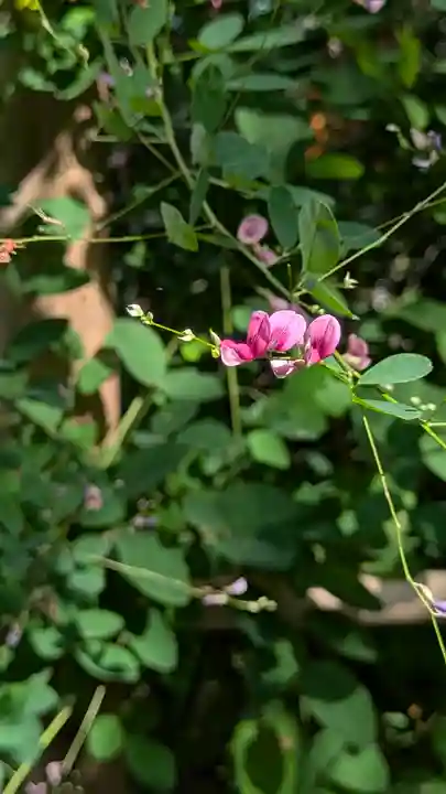 梨木神社(京都府)