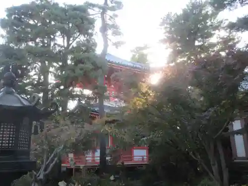 正覚院(東京都)