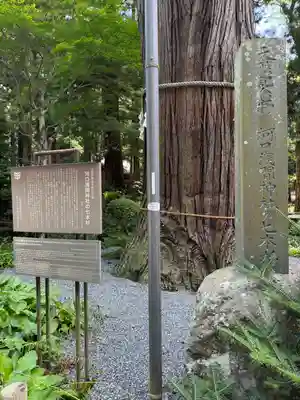 河口浅間神社(山梨県)