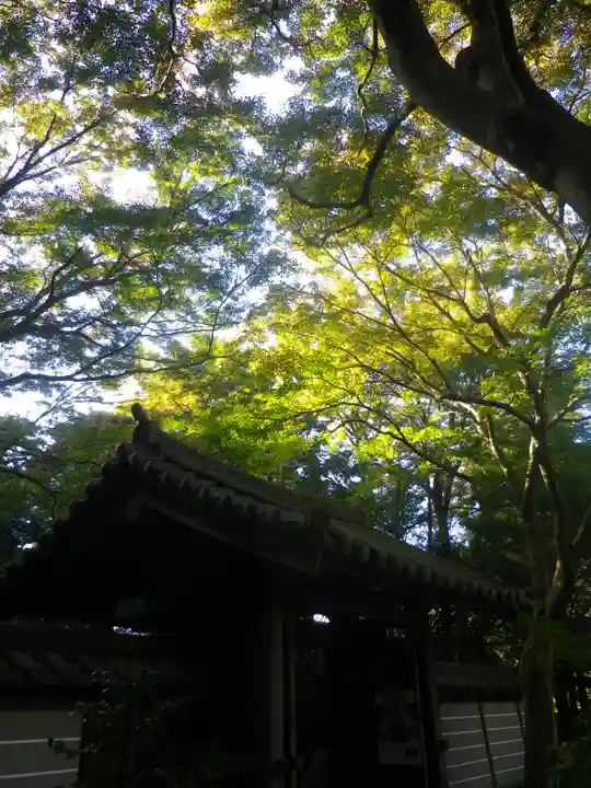 瑞泉寺の山門・神門