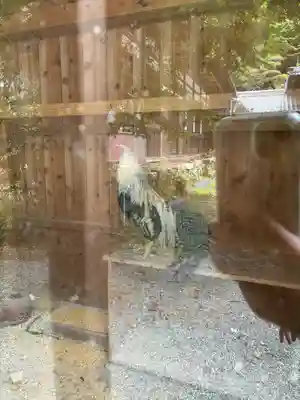 満光寺(愛知県)