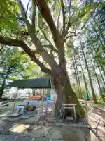 椎植神社(滋賀県)