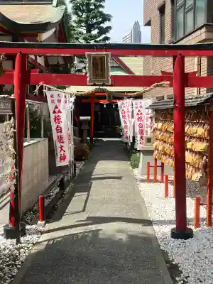 二宮椋白龍社の{uncategorized: "未分類", other: "その他", undefined: "問題あり", building: "その他建物", grave: "お墓", sacred_gate: "鳥居", guardian: "狛犬", statue: "像", buddha: "仏像", history: "歴史", nature: "自然", garden: "庭園", animal: "動物", pagoda: "塔", temizu: "手水舎", mountain_gate: "山門・神門", sanctuary: "本殿・本堂", subordinate: "末社・摂社", art: "芸術", scenery: "景色", jizo: "地蔵", ema: "絵馬", goshuin: "御朱印", omikuji: "おみくじ", items: "授与品その他", amulet: "お守り", goshuincho: "御朱印帳", eats: "食事", festival: "お祭り", votive_dance: "神楽", shichigosan: "七五三参", wedding: "結婚式", experience: "体験その他", initially: "初詣", around: "周辺", anti_infection: "感染症対策"}