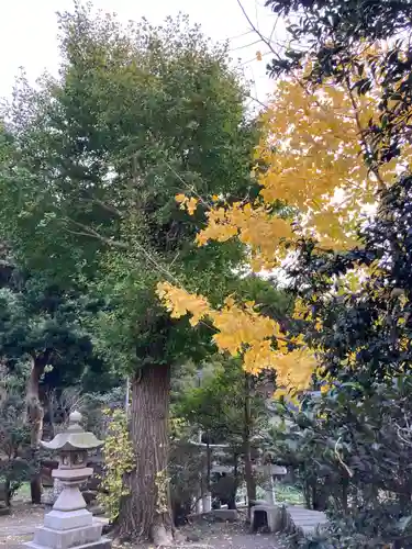 熊野新宮(神奈川県)