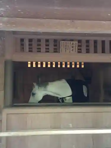 伊勢神宮外宮（豊受大神宮）の動物