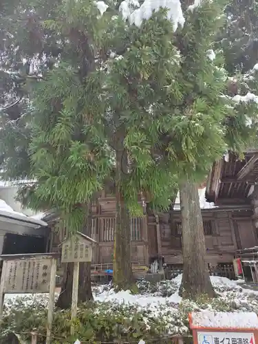 白山比咩神社(石川県)