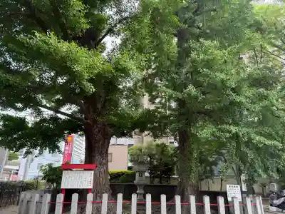 久留米宗社　日吉神社の{uncategorized: "未分類", other: "その他", undefined: "問題あり", building: "その他建物", grave: "お墓", sacred_gate: "鳥居", guardian: "狛犬", statue: "像", buddha: "仏像", history: "歴史", nature: "自然", garden: "庭園", animal: "動物", pagoda: "塔", temizu: "手水舎", mountain_gate: "山門・神門", sanctuary: "本殿・本堂", subordinate: "末社・摂社", art: "芸術", scenery: "景色", jizo: "地蔵", ema: "絵馬", goshuin: "御朱印", omikuji: "おみくじ", items: "授与品その他", amulet: "お守り", goshuincho: "御朱印帳", eats: "食事", festival: "お祭り", votive_dance: "神楽", shichigosan: "七五三参", wedding: "結婚式", experience: "体験その他", initially: "初詣", around: "周辺", anti_infection: "感染症対策"}
