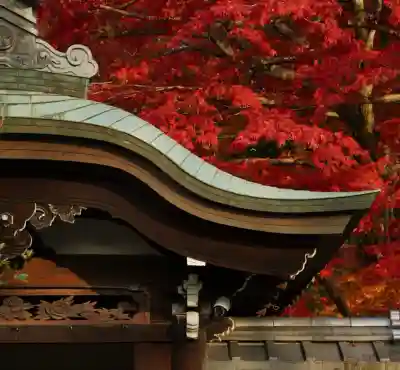 榮攝院（栄摂院）(京都府)