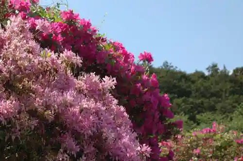 五大尊堂(長徳寺)の自然