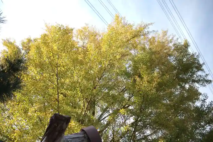 興長禅寺の自然