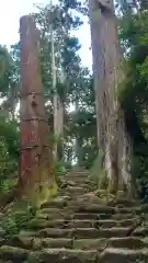 飛瀧神社（熊野那智大社別宮）の自然